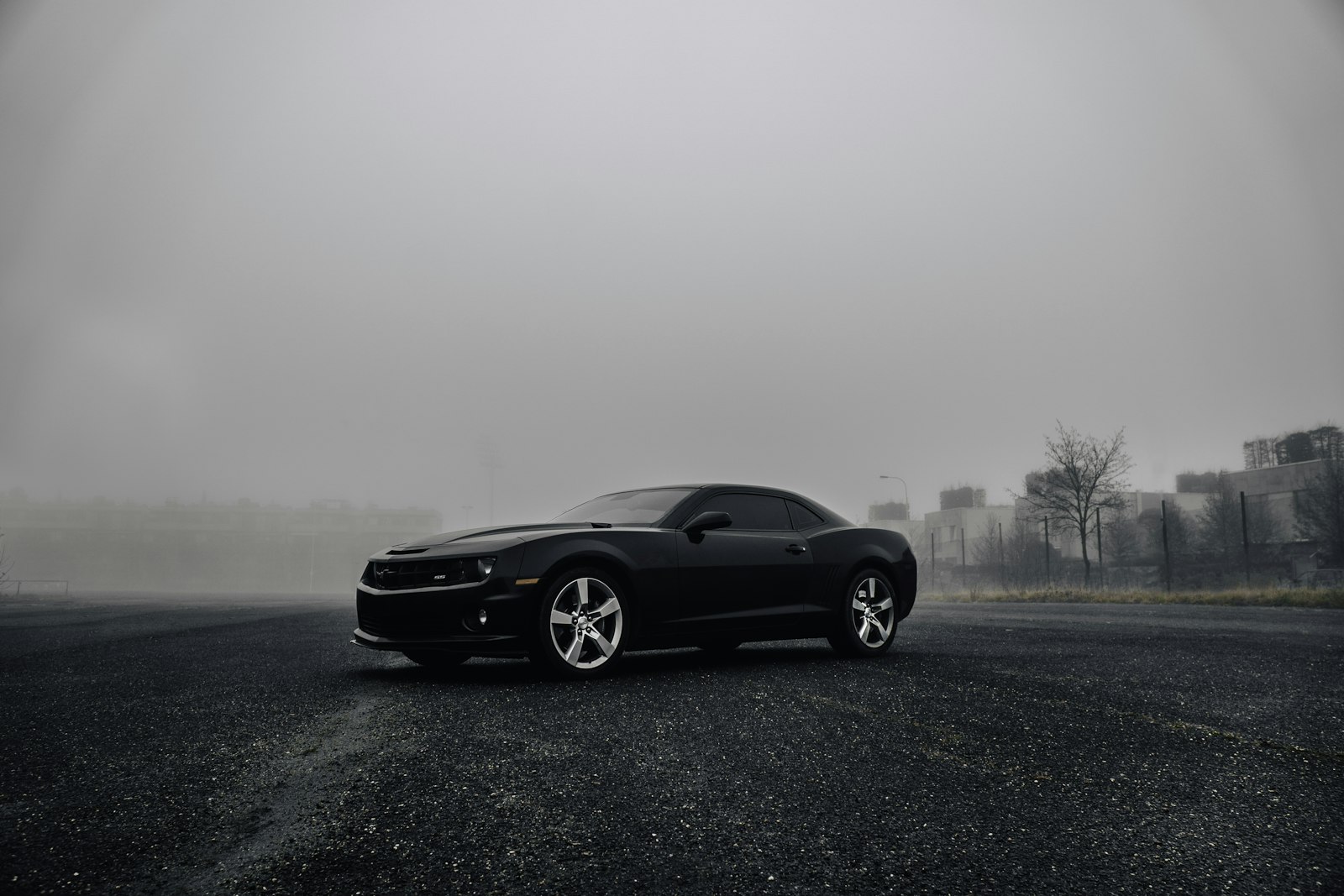 A black coupe standing alone in soft morning mist on open ground